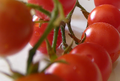 120 Things in 20 years - Cherry tomatoes 1sm.jpg
